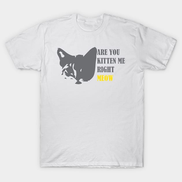 Are You Kitten Me Right Meow T-Shirt by Mathew Graphic